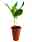 09134723: Lily Flower Pot 3 Strands