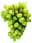 09134823: White Grape Italia Victoria 5kg C1 IT 1kg 