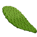 nopal.jpg