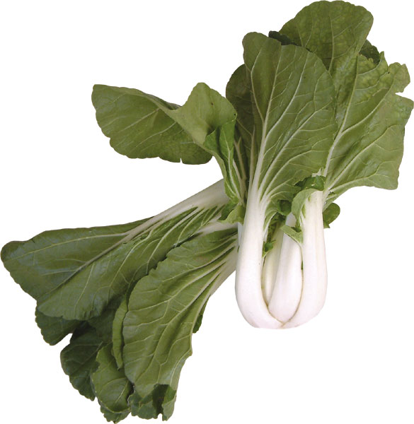 pakchoi.jpg