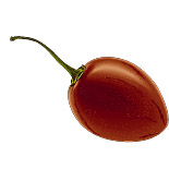 tamarillo.jpg